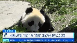 排球noya(网友：P都不敢这么P！腿精Lisa上线，BLACKPINK真人秀首播)-趣拿体育