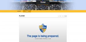 简历背景图片(韦慧晓简历背景照片)-趣拿体育