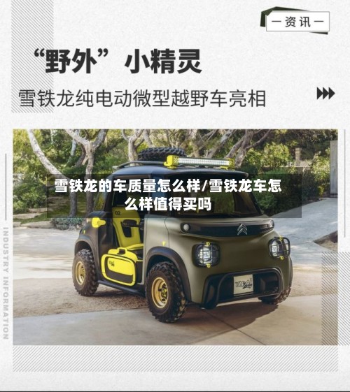 雪铁龙的车质量怎么样/雪铁龙车怎么样值得买吗