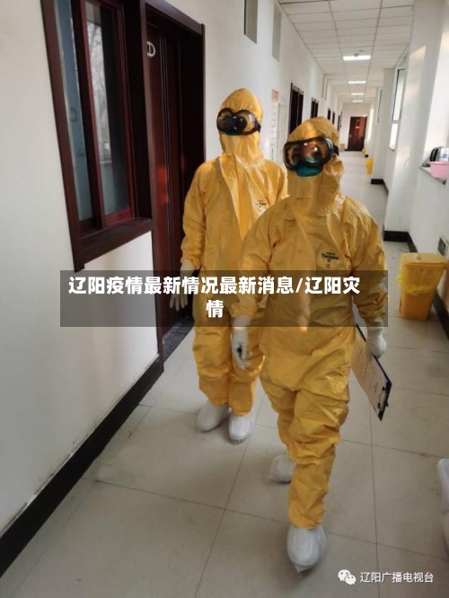 辽阳疫情最新情况最新消息/辽阳灾情-第2张图片