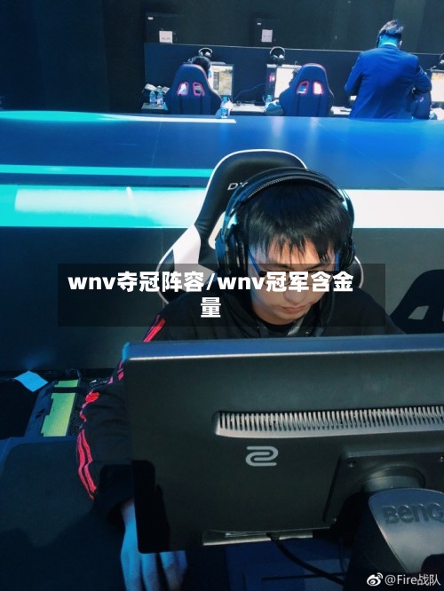 wnv夺冠阵容/wnv冠军含金量-第2张图片
