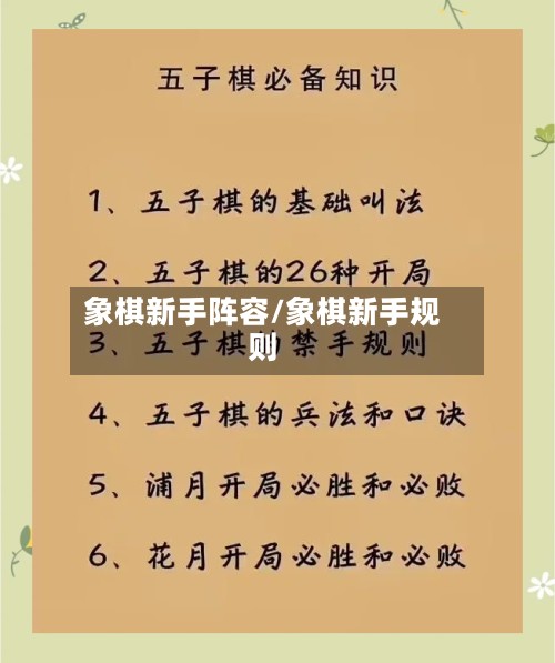 象棋新手阵容/象棋新手规则-第2张图片