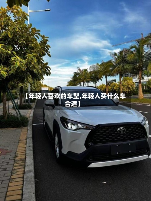 【年轻人喜欢的车型,年轻人买什么车合适】