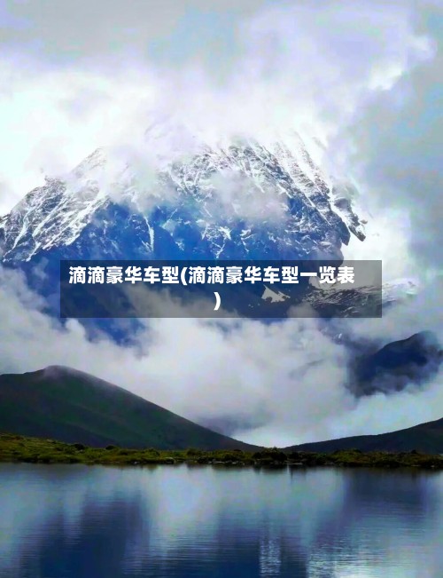 滴滴豪华车型(滴滴豪华车型一览表)