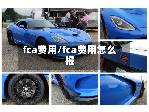 fca费用/fca费用怎么报-第2张图片