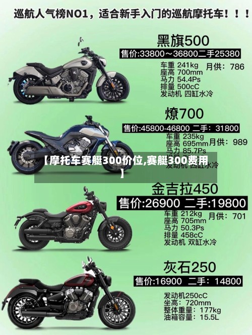 【摩托车赛艇300价位,赛艇300费用】