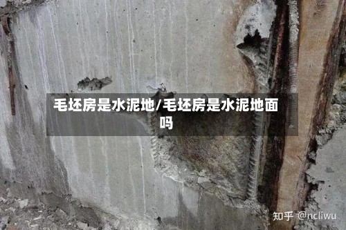 毛坯房是水泥地/毛坯房是水泥地面吗