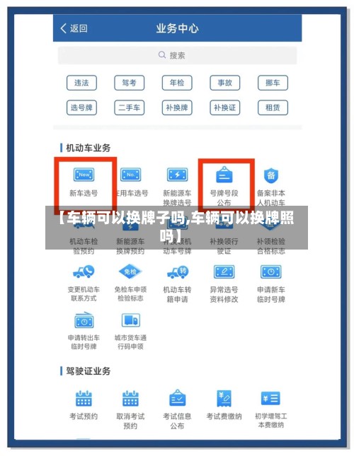 【车辆可以换牌子吗,车辆可以换牌照吗】-第3张图片