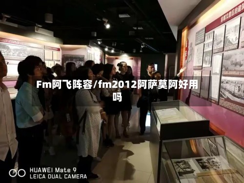 Fm阿飞阵容/fm2012阿萨莫阿好用吗