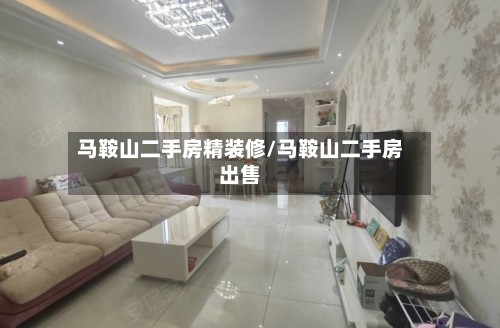 马鞍山二手房精装修/马鞍山二手房出售-第3张图片