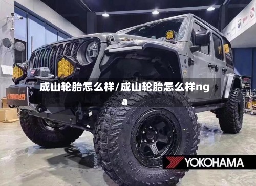 成山轮胎怎么样/成山轮胎怎么样nga