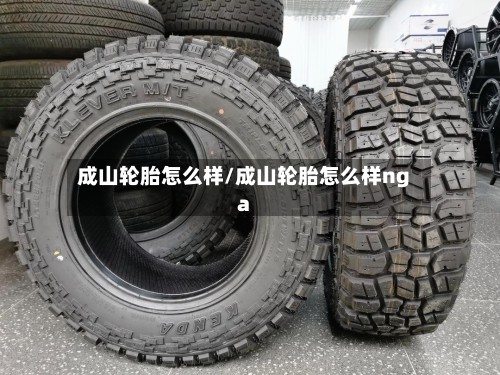 成山轮胎怎么样/成山轮胎怎么样nga-第2张图片