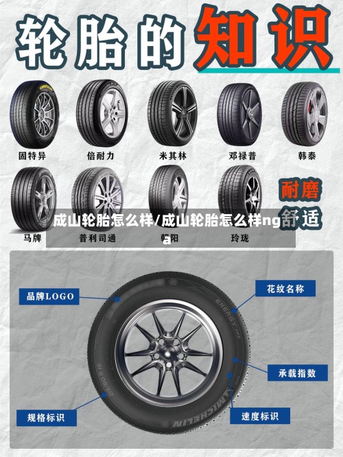 成山轮胎怎么样/成山轮胎怎么样nga-第3张图片