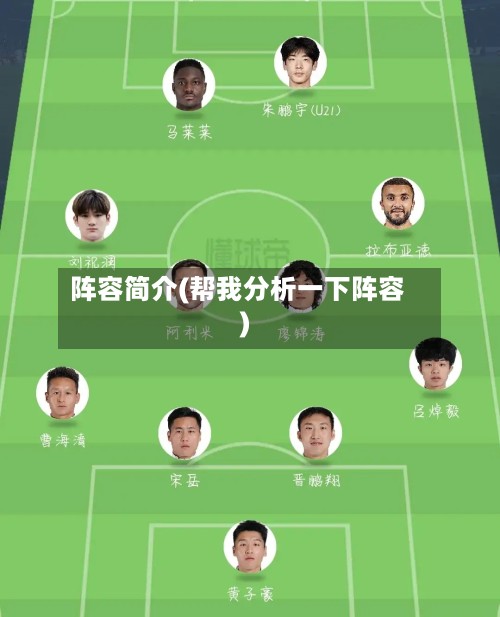 阵容简介(帮我分析一下阵容)