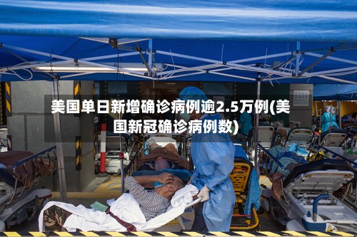 美国单日新增确诊病例逾2.5万例(美国新冠确诊病例数)