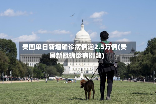 美国单日新增确诊病例逾2.5万例(美国新冠确诊病例数)-第2张图片