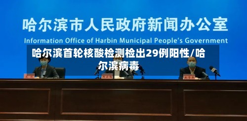 哈尔滨首轮核酸检测检出29例阳性/哈尔滨病毒
