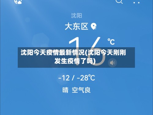 沈阳今天疫情最新情况(沈阳今天刚刚发生疫情了吗)-第3张图片