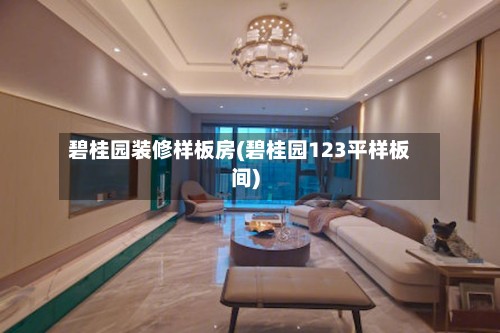 碧桂园装修样板房(碧桂园123平样板间)