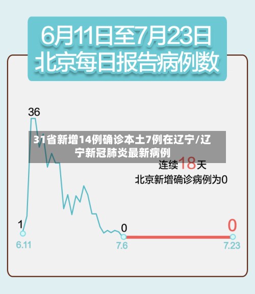 31省新增14例确诊本土7例在辽宁/辽宁新冠肺炎最新病例