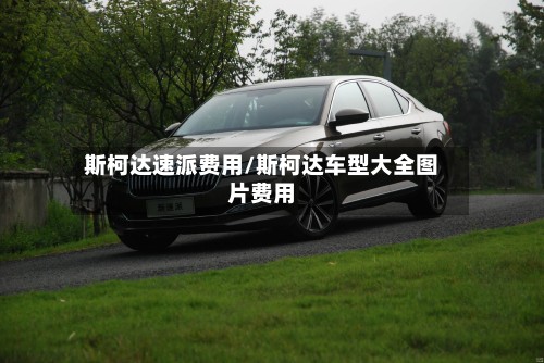 斯柯达速派费用/斯柯达车型大全图片费用