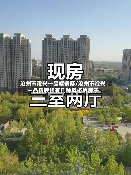 沧州市沧兴一品精装修/沧州市沧兴一品精装修有几种风格的房子-第2张图片