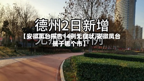 【安徽凤台报告14例无症状,安徽凤台属于哪个市】