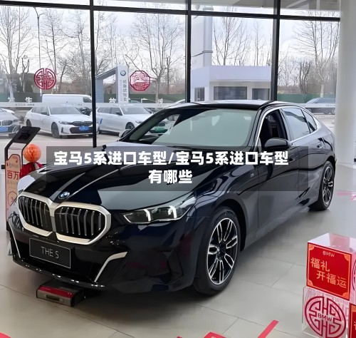 宝马5系进口车型/宝马5系进口车型有哪些-第2张图片