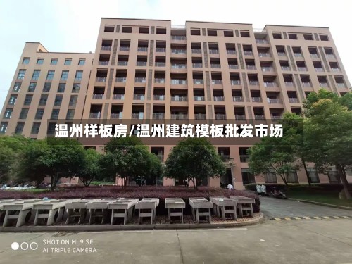 温州样板房/温州建筑模板批发市场
