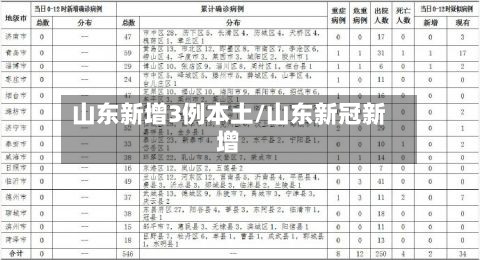 山东新增3例本土/山东新冠新增
