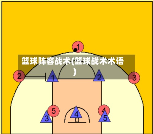 篮球阵容战术(篮球战术术语)