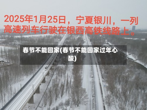 春节不能回家(春节不能回家过年心酸)