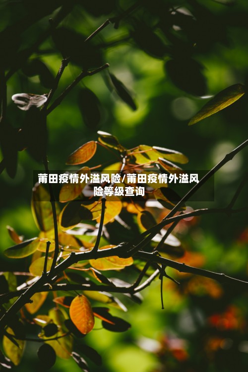 莆田疫情外溢风险/莆田疫情外溢风险等级查询-第2张图片