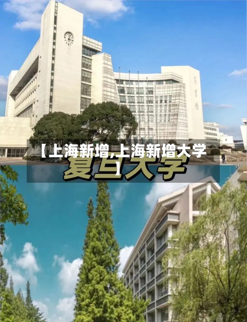 【上海新增,上海新增大学】-第2张图片