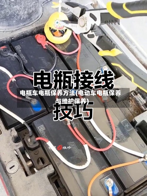 电瓶车电瓶保养方法(电动车电瓶保养与维护保养)
