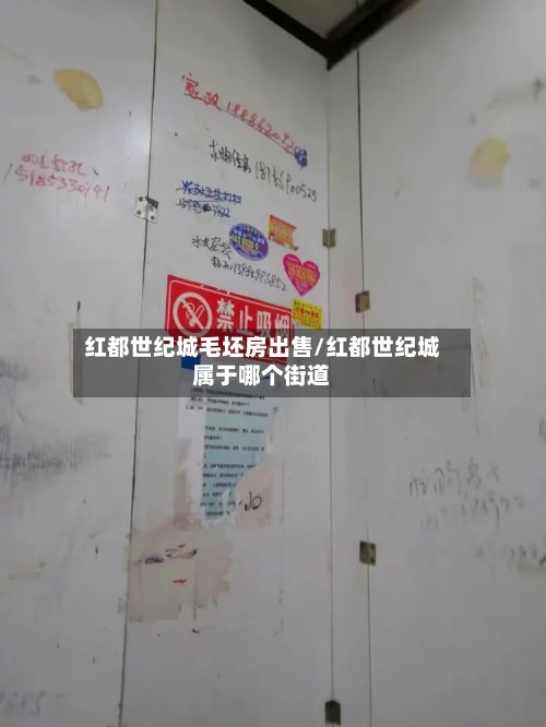红都世纪城毛坯房出售/红都世纪城属于哪个街道