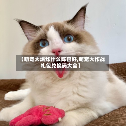【萌宠大爆炸什么阵容好,萌宠大作战礼包兑换码大全】-第3张图片
