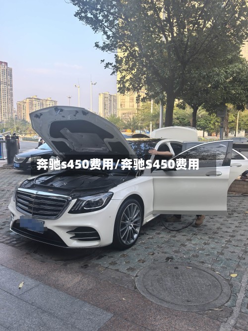 奔驰s450费用/奔驰S450费用