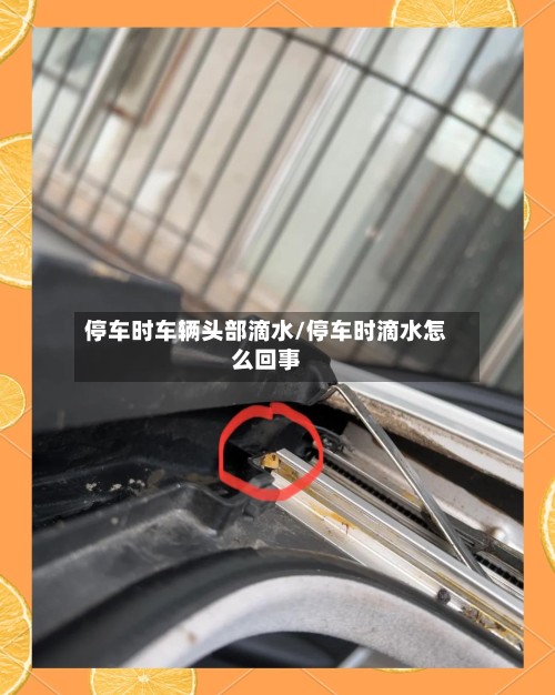 停车时车辆头部滴水/停车时滴水怎么回事