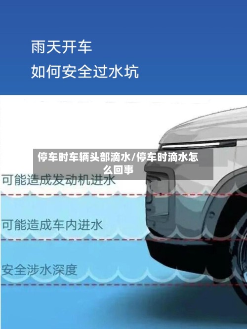 停车时车辆头部滴水/停车时滴水怎么回事-第2张图片