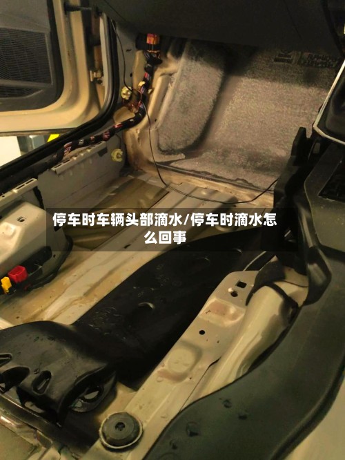 停车时车辆头部滴水/停车时滴水怎么回事-第3张图片
