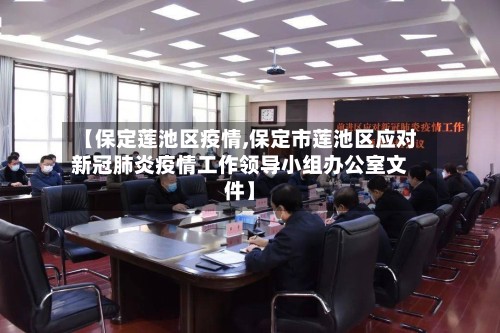 【保定莲池区疫情,保定市莲池区应对新冠肺炎疫情工作领导小组办公室文件】-第2张图片