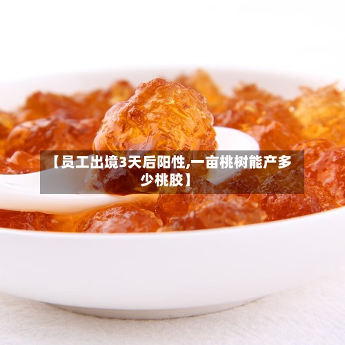 【员工出境3天后阳性,一亩桃树能产多少桃胶】-第3张图片