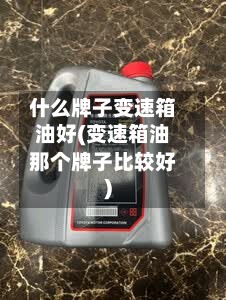 什么牌子变速箱油好(变速箱油那个牌子比较好)