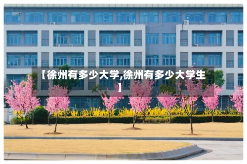 【徐州有多少大学,徐州有多少大学生】-第2张图片