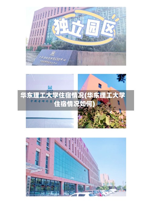 华东理工大学住宿情况(华东理工大学住宿情况如何)-第2张图片