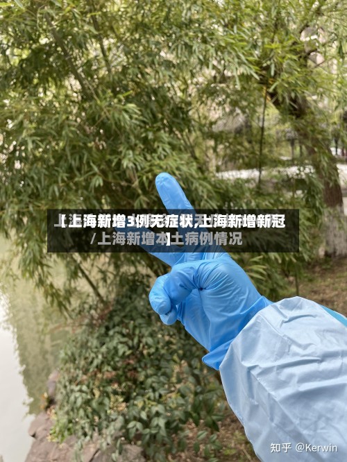 【上海新增3例无症状,上海新增新冠】-第2张图片