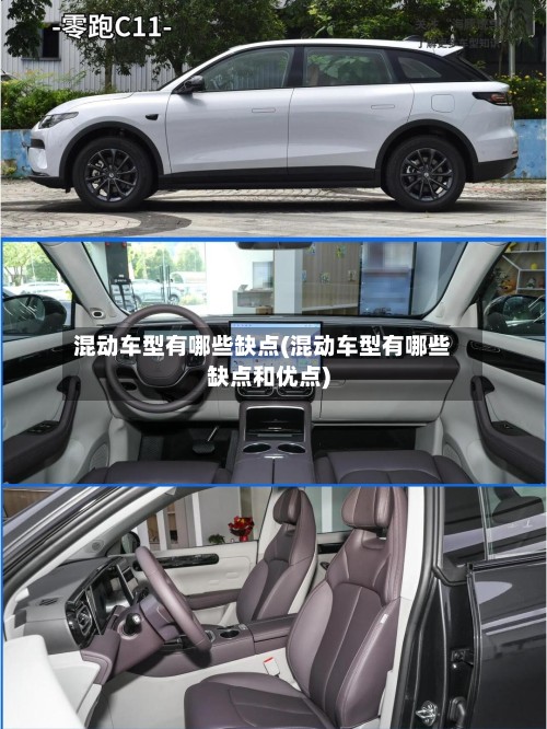 混动车型有哪些缺点(混动车型有哪些缺点和优点)