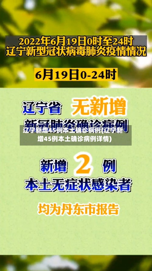 辽宁新增45例本土确诊病例(辽宁新增45例本土确诊病例详情)-第2张图片
