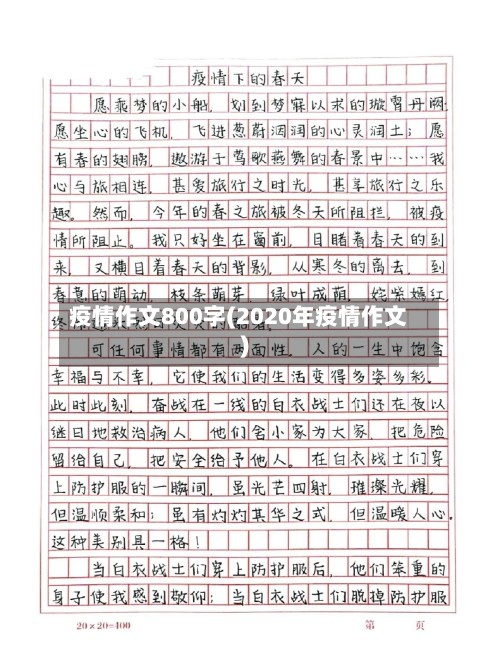 疫情作文800字(2020年疫情作文)